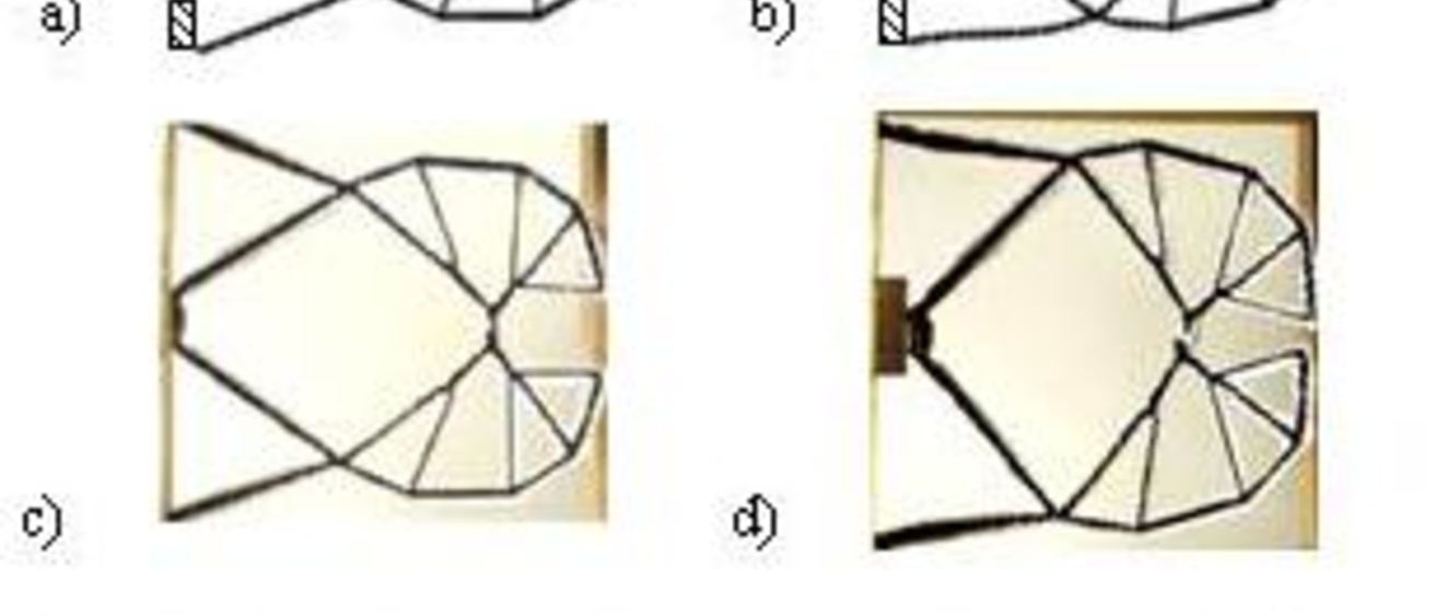 Figure showing gripper mechanism
